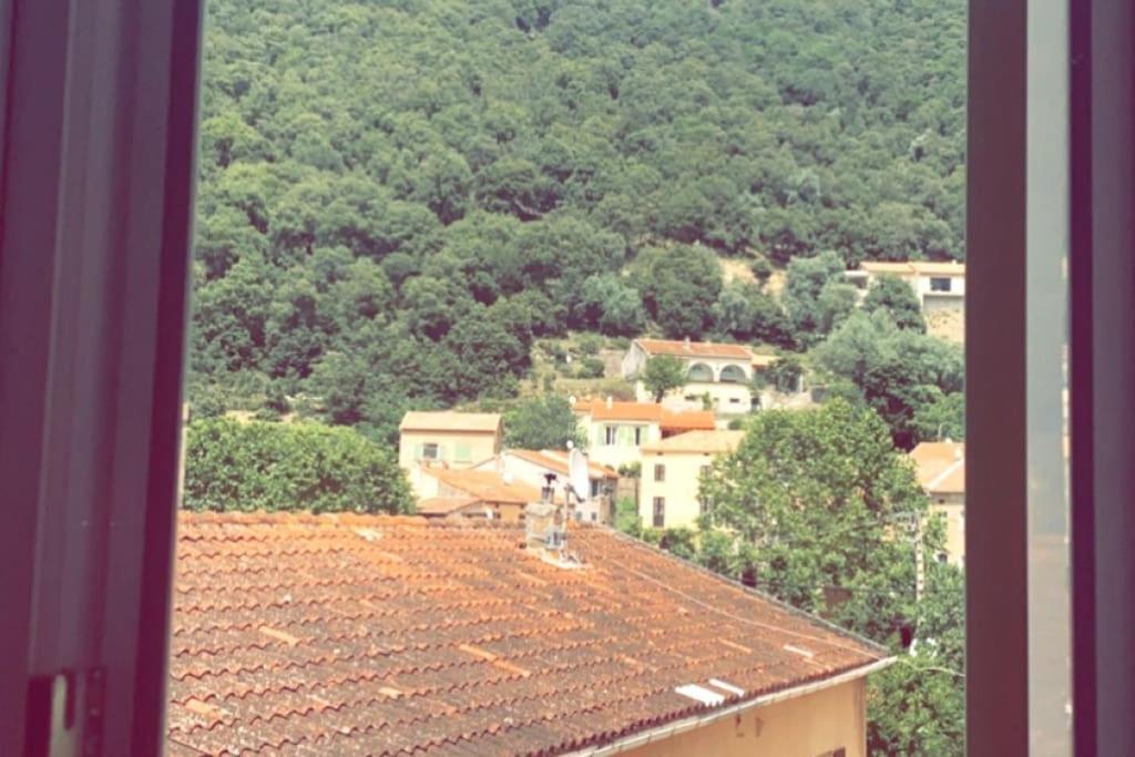 Appartement T2 Chez Thomas Et Nas Omessa Exterior foto